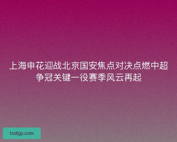 上海申花迎战北京国安焦点对决点燃中超争冠关键一役赛季风云再起