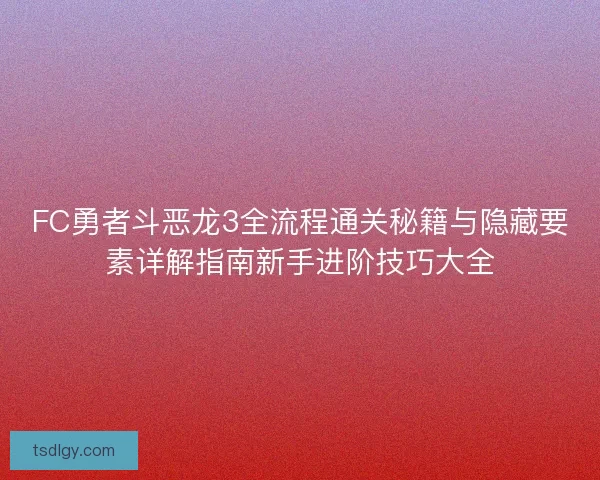 FC勇者斗恶龙3全流程通关秘籍与隐藏要素详解指南新手进阶技巧大全