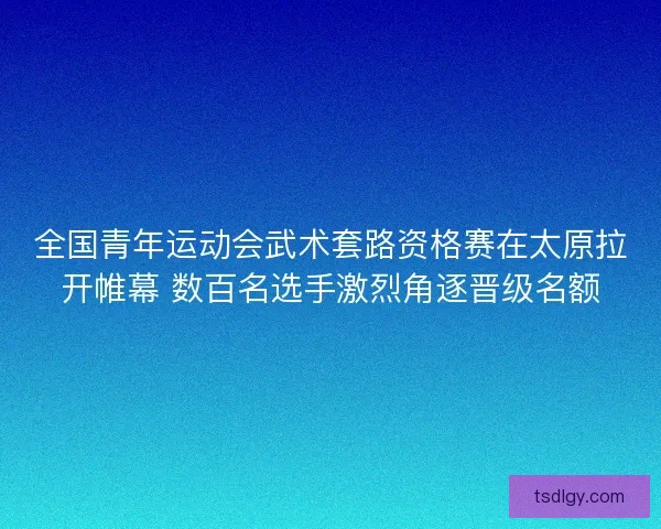 全国青年运动会武术套路资格赛在太原拉开帷幕 数百名选手激烈角逐晋级名额 全国青年运动会武术套路资格赛在太原拉开帷幕 数百名选手激烈角逐晋级名额
