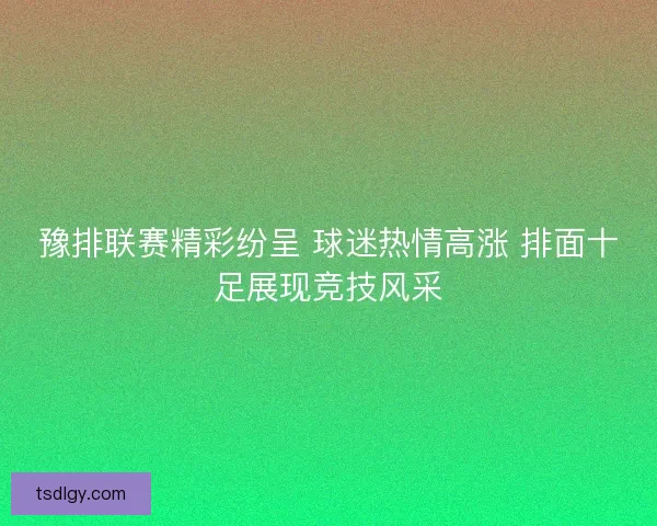 豫排联赛精彩纷呈 球迷热情高涨 排面十足展现竞技风采