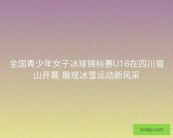 全国青少年女子冰球锦标赛U16在四川眉山开幕 展现冰雪运动新风采