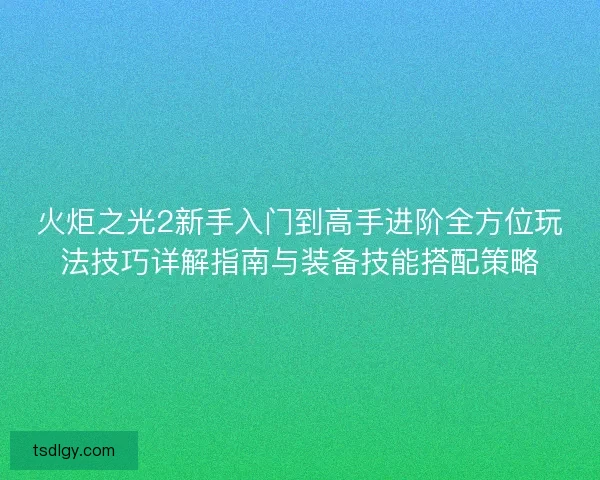 火炬之光2新手入门到高手进阶全方位玩法技巧详解指南与装备技能搭配策略