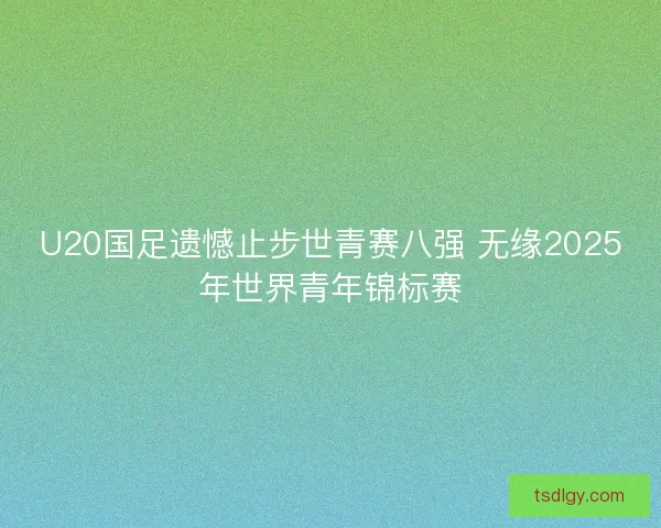 U20国足遗憾止步世青赛八强 无缘2025年世界青年锦标赛