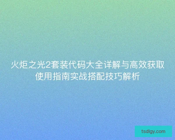 火炬之光2套装代码大全详解与高效获取使用指南实战搭配技巧解析
